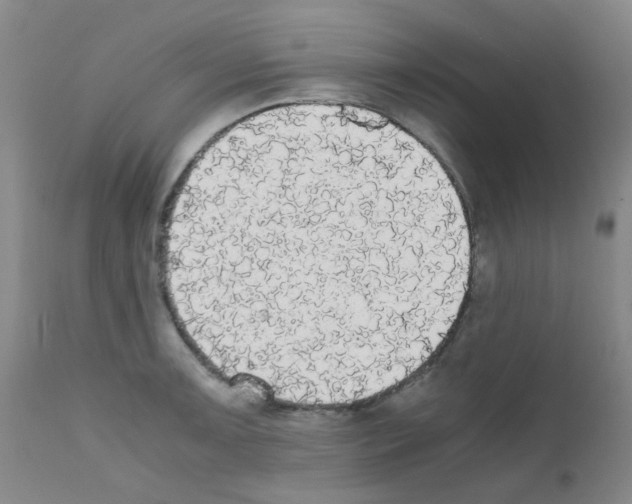 X0000111861091200909031745