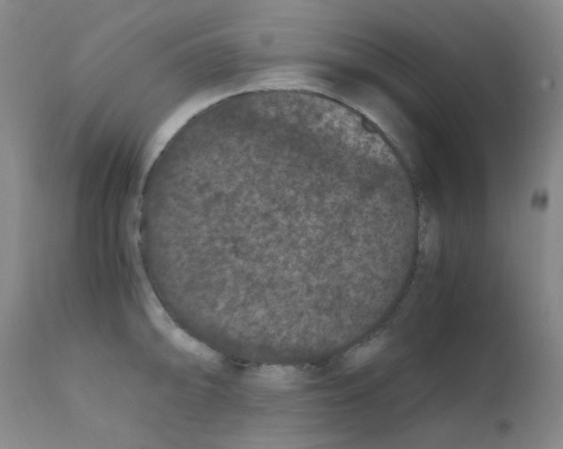 X0000111861094200909031745