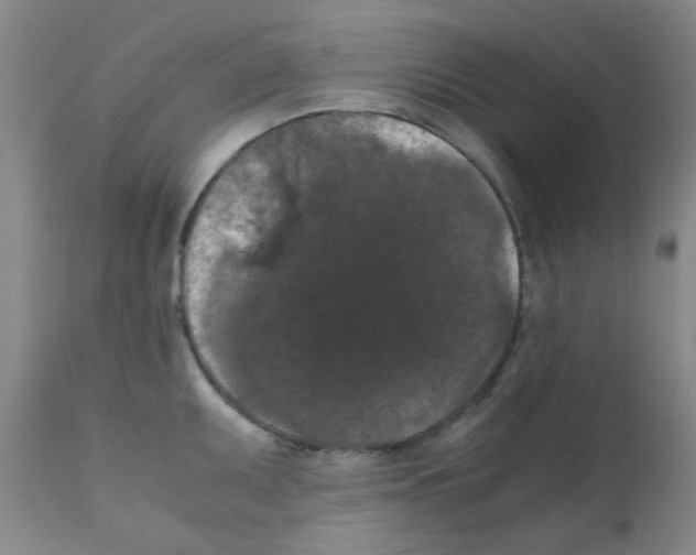 X0000111861095200909031745