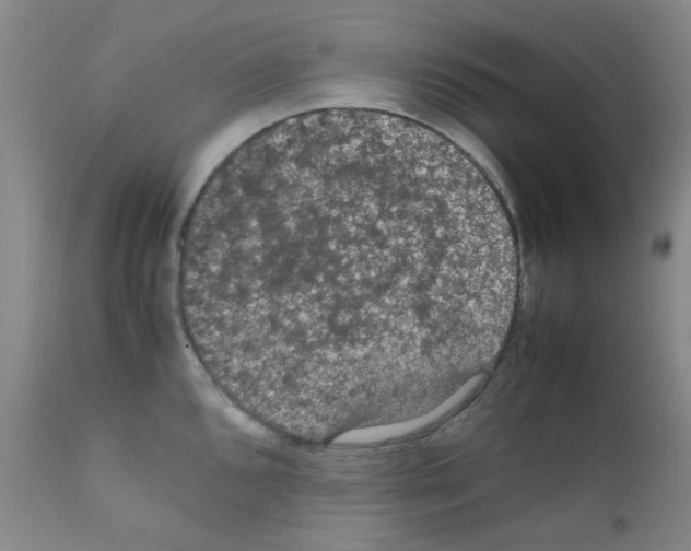 X0000111861096200909031745