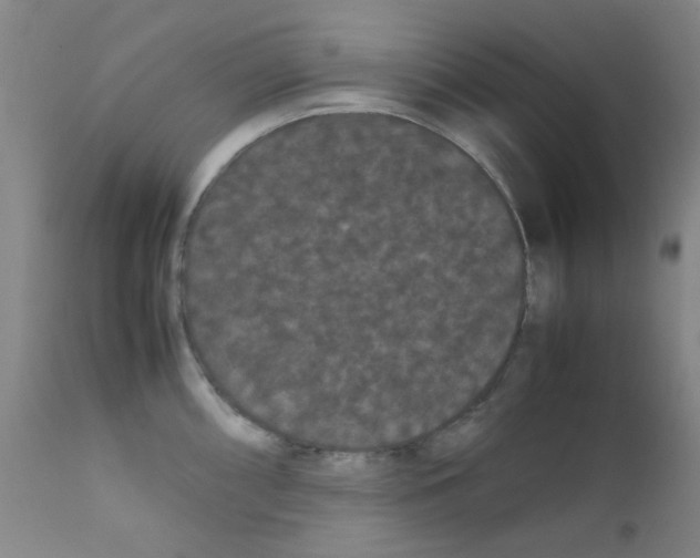 X0000111861098200909031745