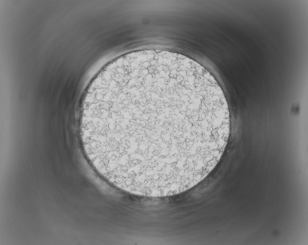 X0000111861099200909031745