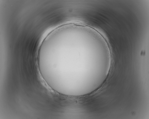 X0000111861104200909031745