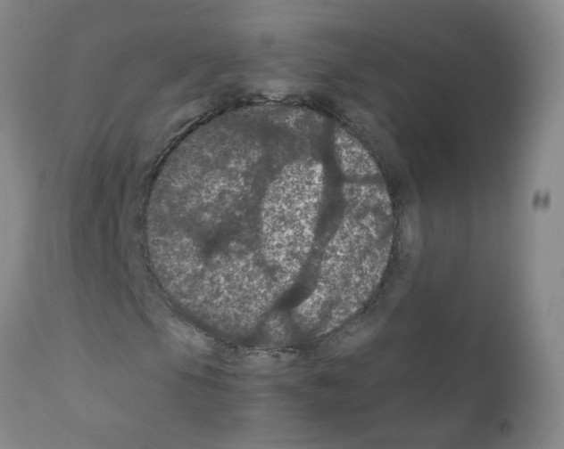 X0000111861105200909031744
