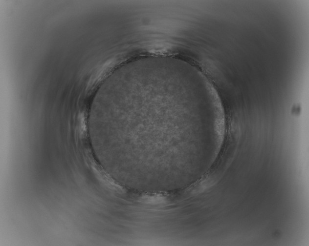 X0000111861106200909031744