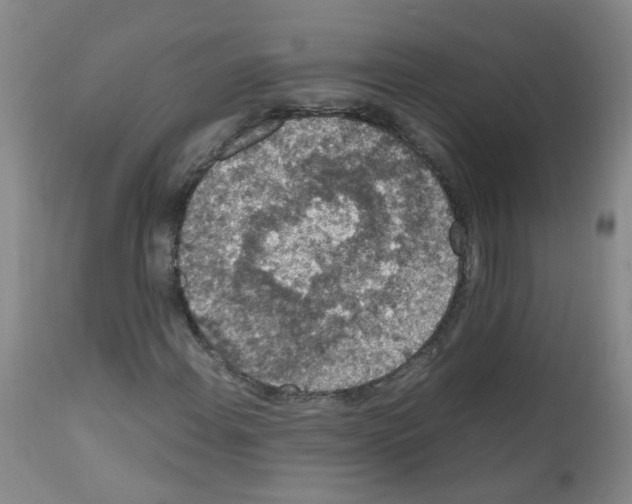 X0000111861108200909031744