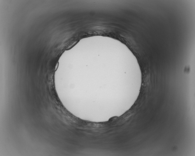 X0000111861109200909031744