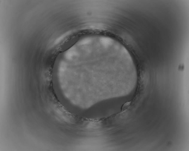 X0000111861110200909031744
