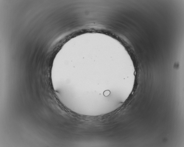 X0000111861112200909031744