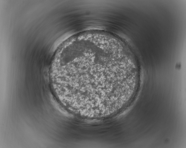 X0000111861113200909031744