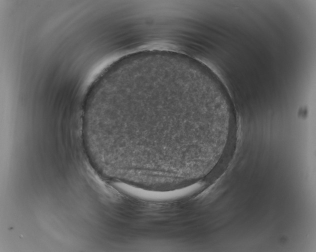 X0000111861115200909031744