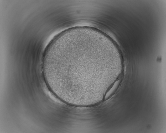 X0000111861116200909031744