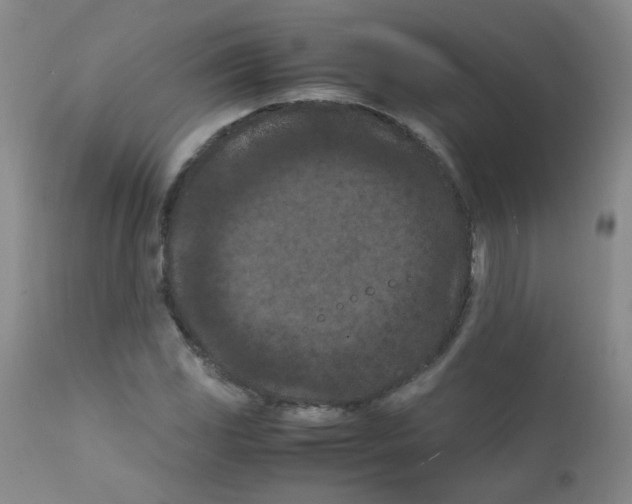 X0000111861117200909031744