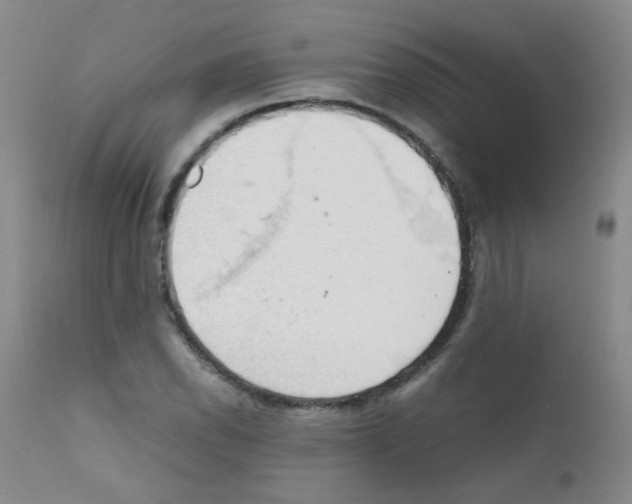 X0000111861118200909031744