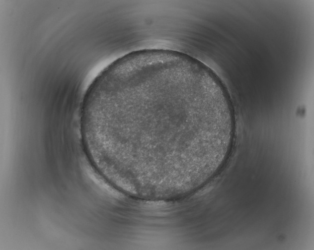 X0000111861120200909031745