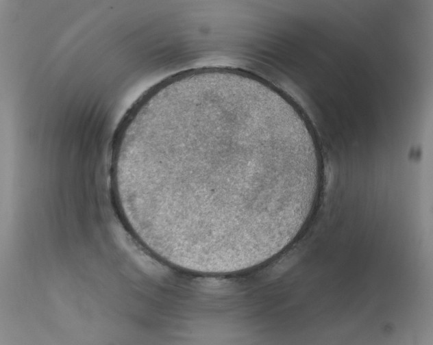 X0000111861124200909031745