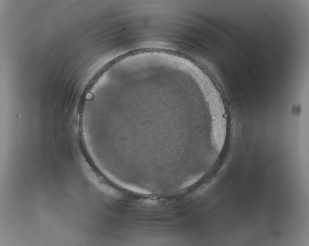 X0000111861125200909031745