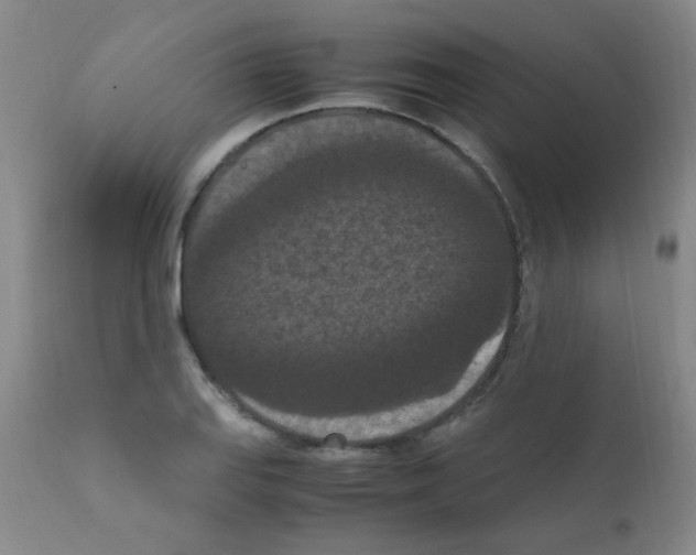 X0000111861127200909031745