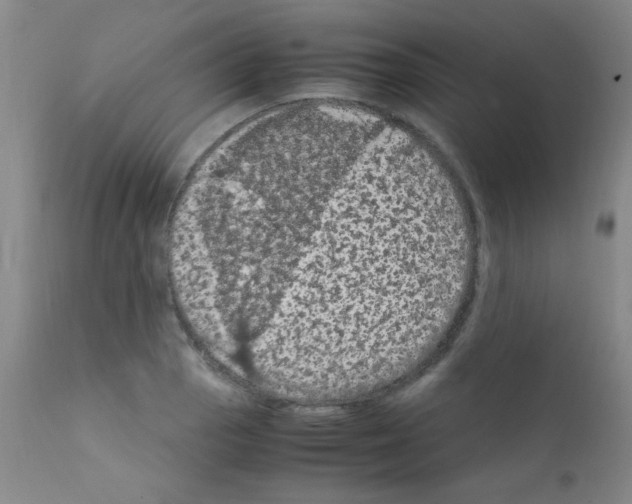 X0000111861129200909031745