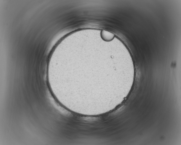 X0000111861131200909031745