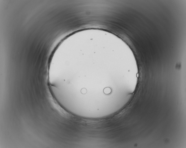 X0000111861132200909031745