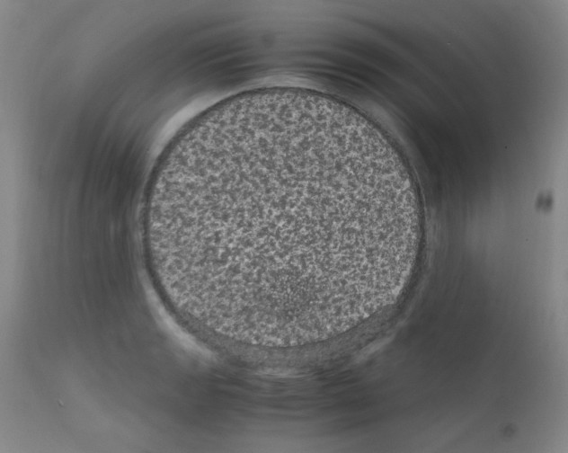 X0000111861133200909031745