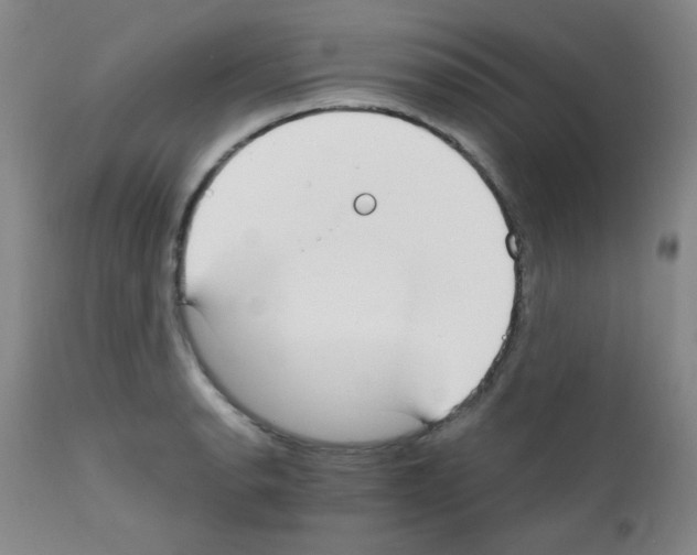 X0000111861134200909031745