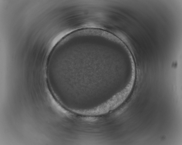 X0000111861141200909031745