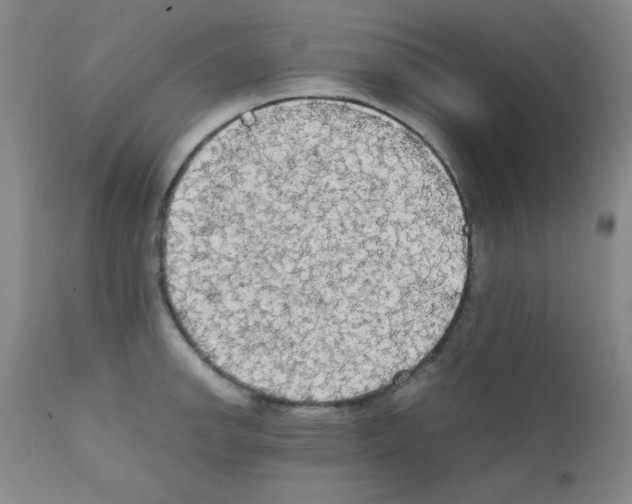 X0000111861142200909031745