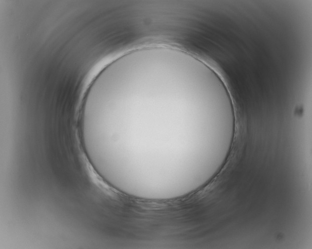 X0000111861144200909031745
