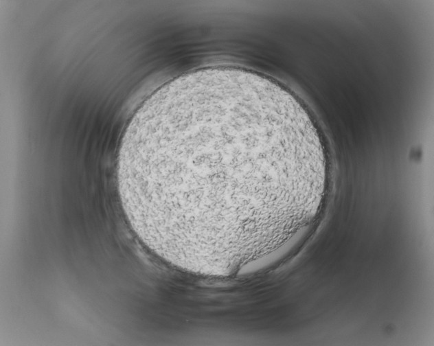 X0000111861145200909031745