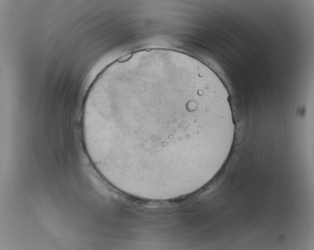 X0000111861146200909031745