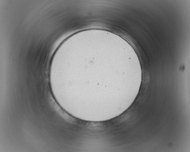X0000111861148200909031745