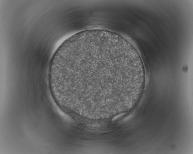 X0000111861149200909031745