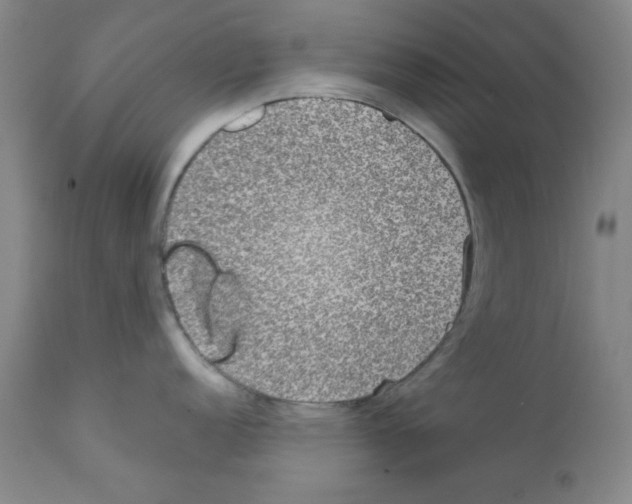 X0000111861152200909031745
