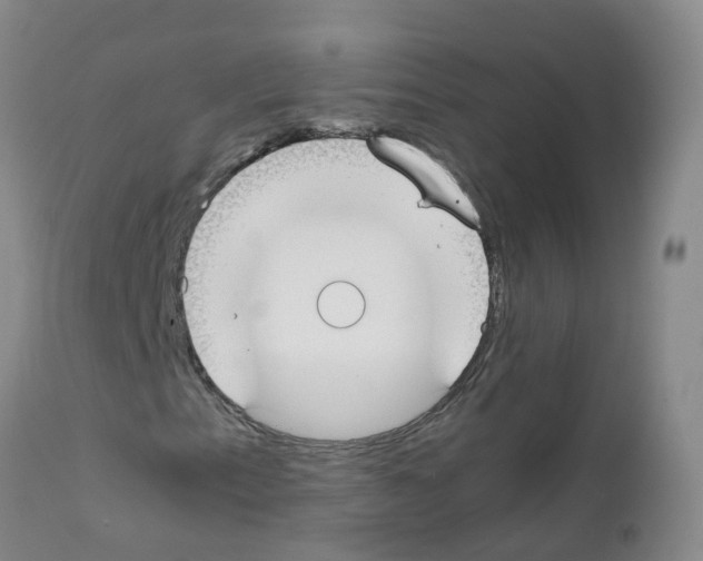 X0000111861153200909031744