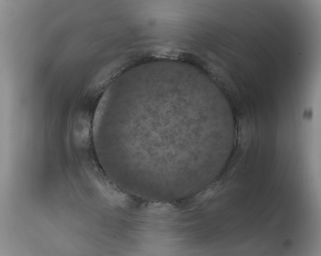 X0000111861154200909031744