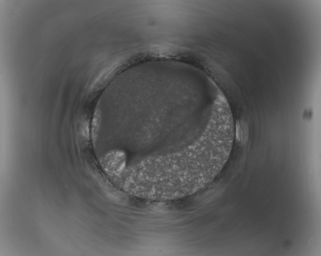 X0000111861155200909031744