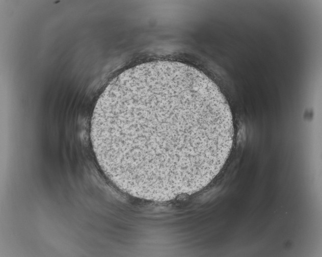 X0000111861156200909031744