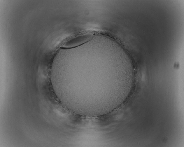 X0000111861157200909031744