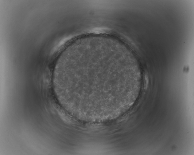 X0000111861158200909031744