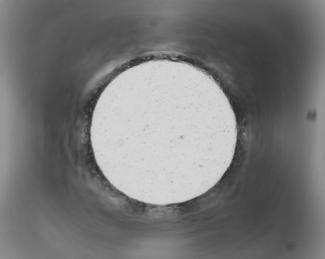 X0000111861159200909031744
