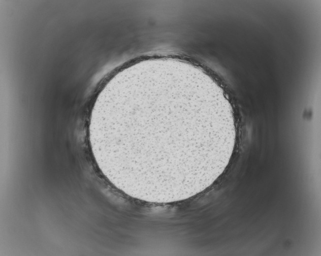 X0000111861160200909031744