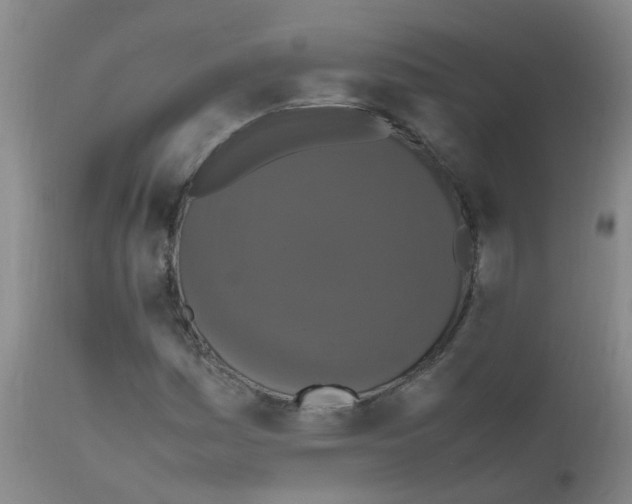 X0000111861161200909031744