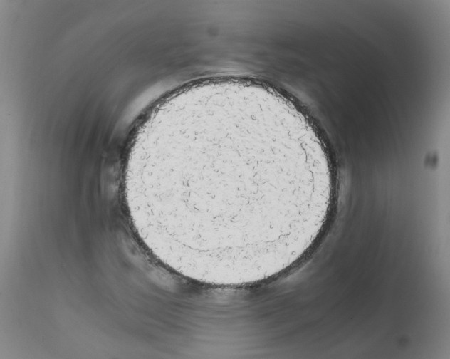 X0000111861163200909031744