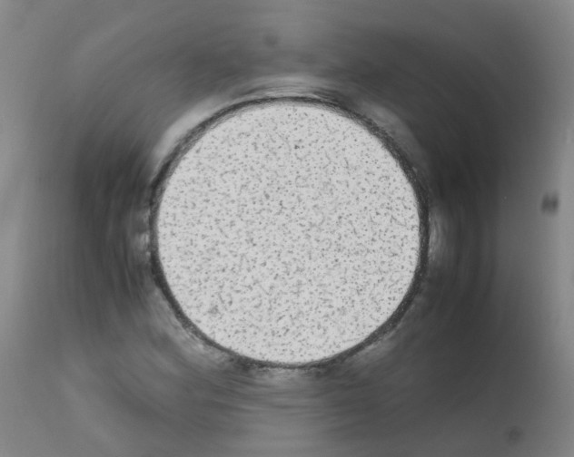 X0000111861164200909031744