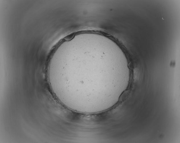 X0000111861165200909031744