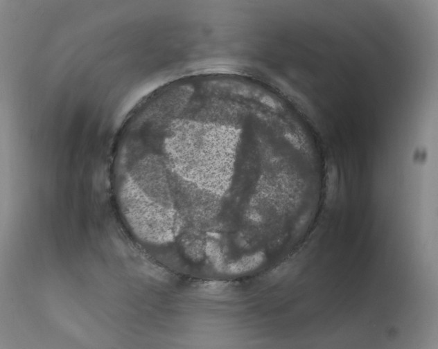 X0000111861166200909031744