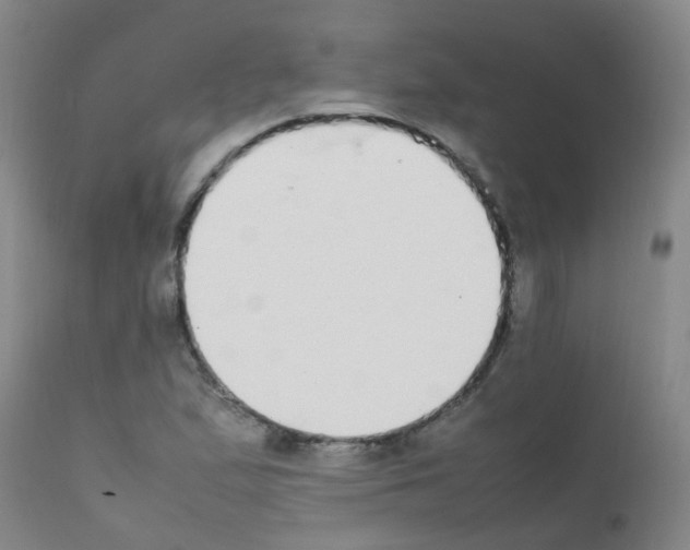 X0000111861167200909031744