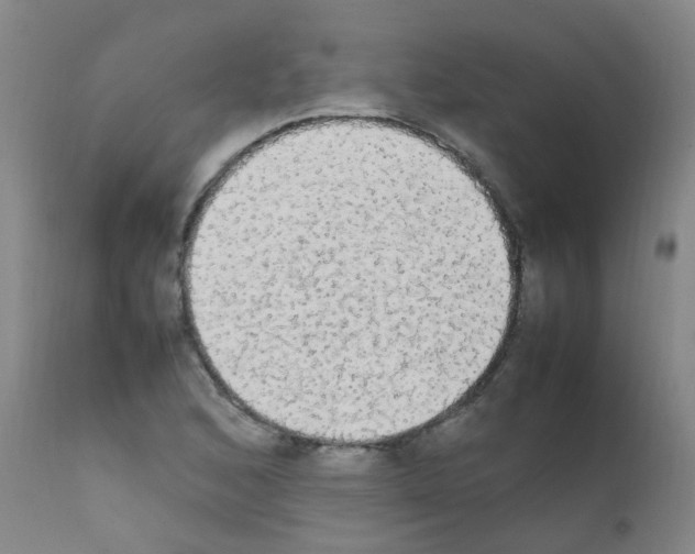 X0000111861168200909031744